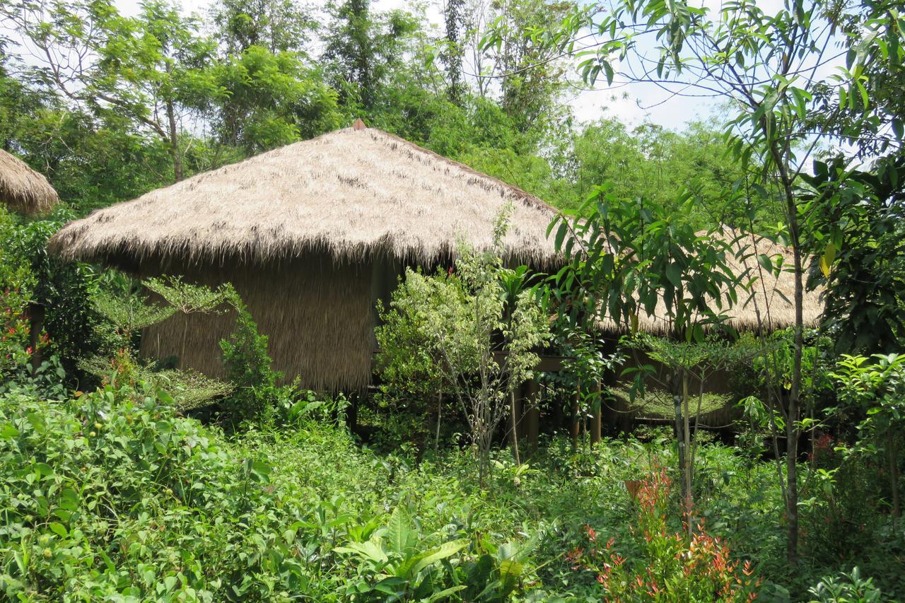 Tatai Rainbow Lodge מראה חיצוני תמונה