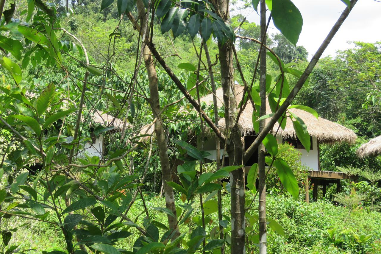 Tatai Rainbow Lodge מראה חיצוני תמונה